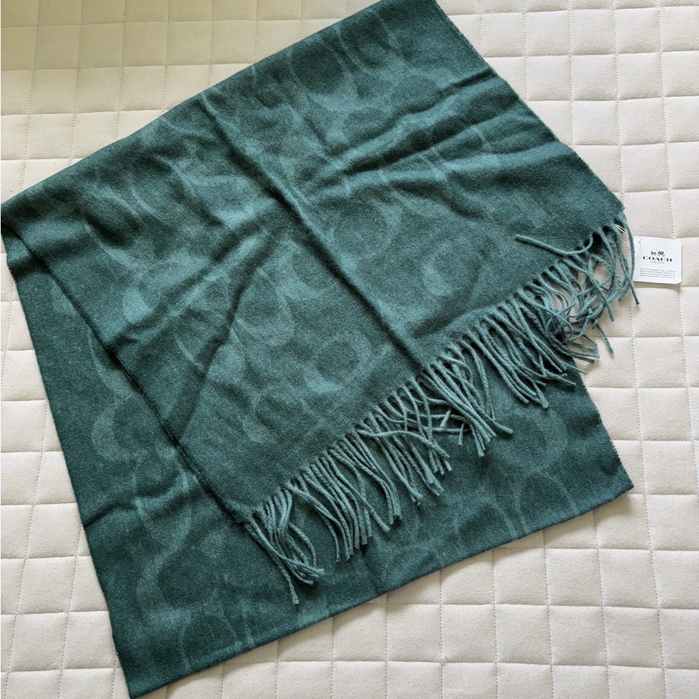 Coach Women’s Teal Fringed Scarf